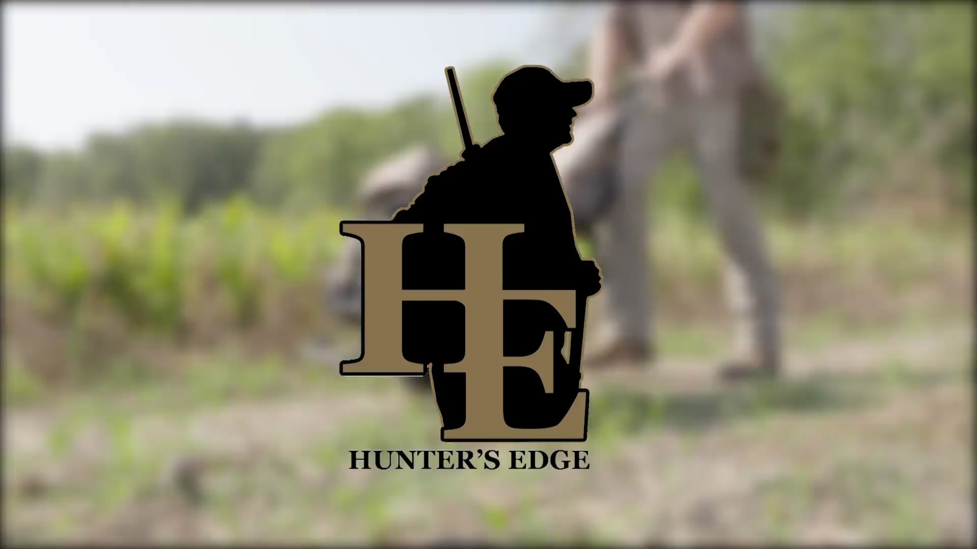 Air rifle hunting videos download